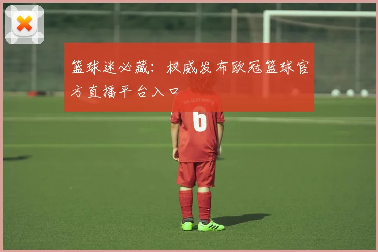 篮球迷必藏：权威发布欧冠篮球官方直播平台入口