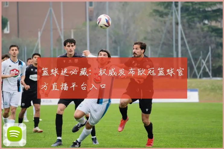 篮球迷必藏：权威发布欧冠篮球官方直播平台入口