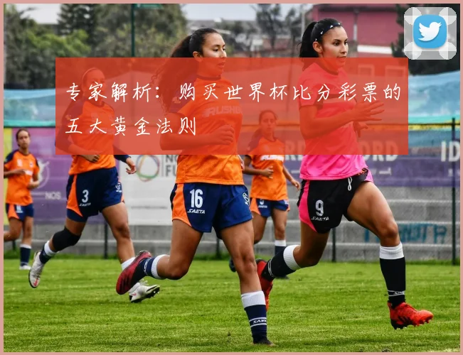 专家解析:购买世界杯比分彩票的五大黄金法则