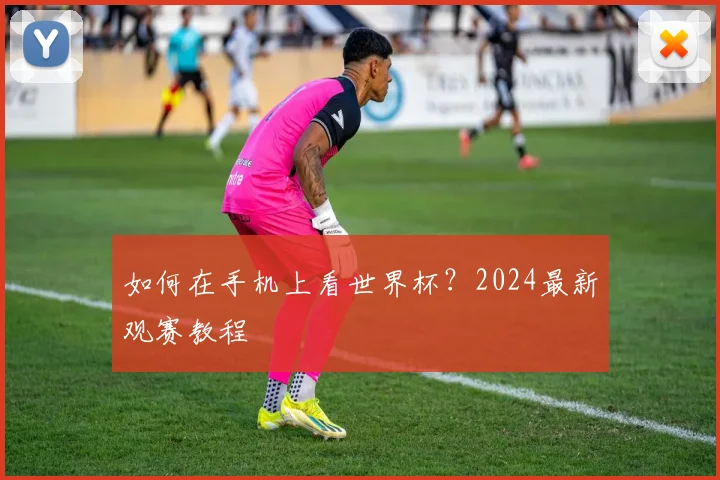 如何在手机上看世界杯？2024最新观赛教程