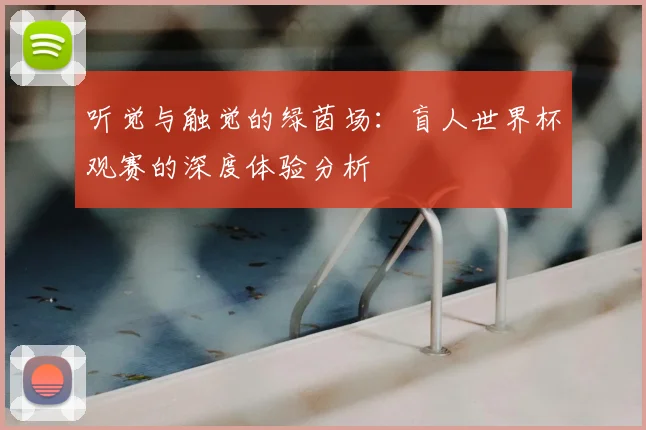 听觉与触觉的绿茵场：盲人世界杯观赛的深度体验分析