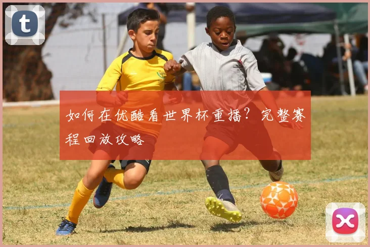 如何在优酷看世界杯重播？完整赛程回放攻略