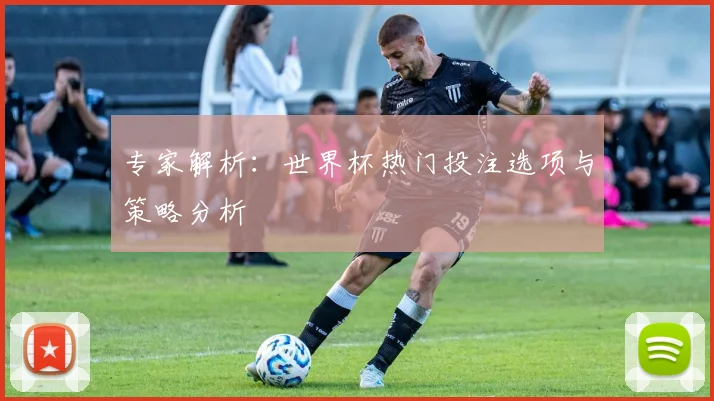 专家解析:世界杯热门投注选项与策略分析