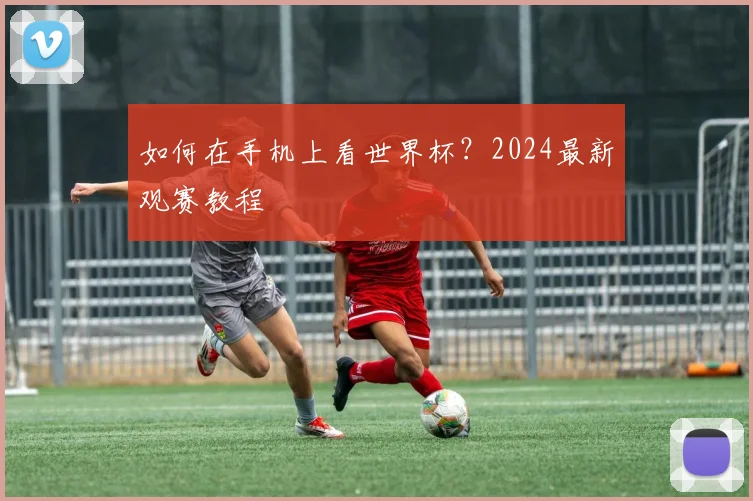 如何在手机上看世界杯？2024最新观赛教程