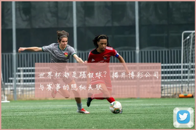 世界杯都是踢假球？揭开博彩公司与赛事的隐秘关联