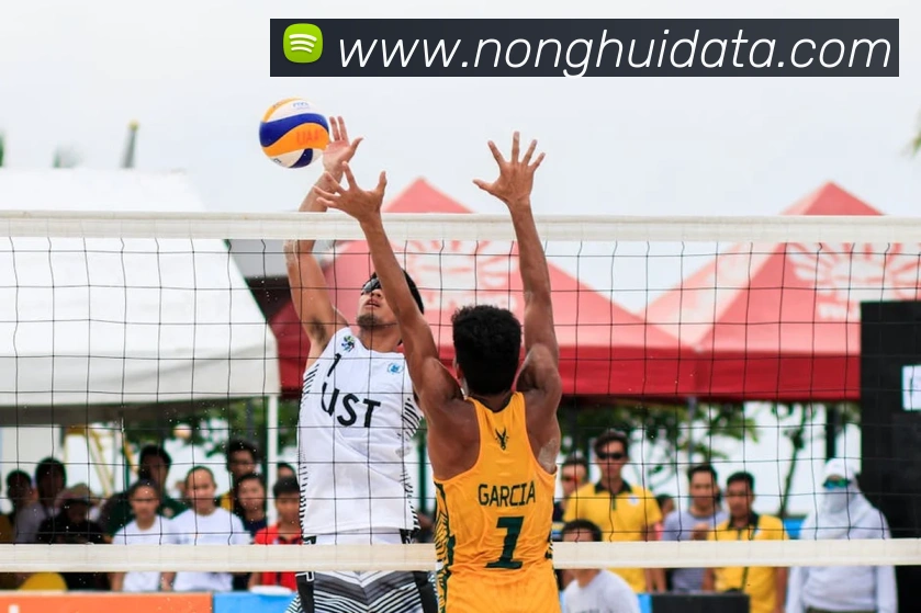 乐竞官网服务体系